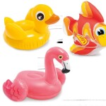Product Image from the Gallery