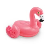 Product Image from the Gallery