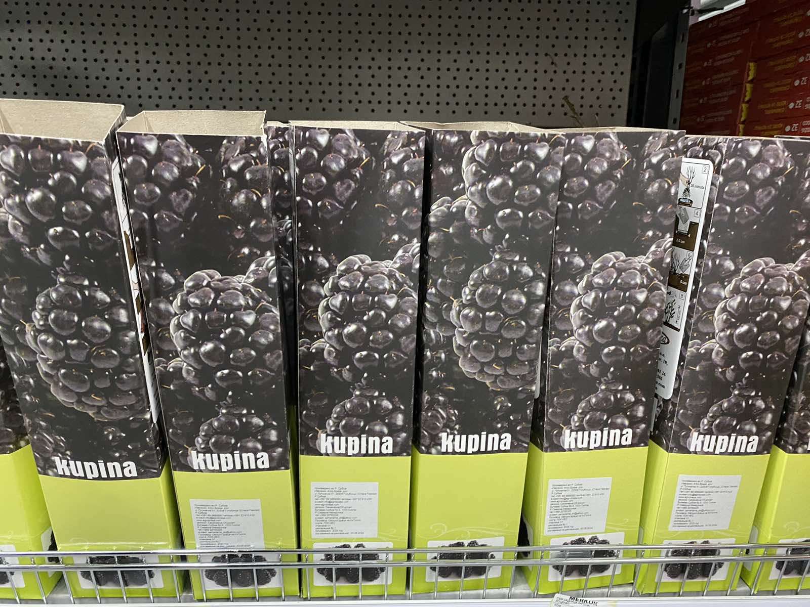 Image  of СЕМ САДНИЦА КАПИНА