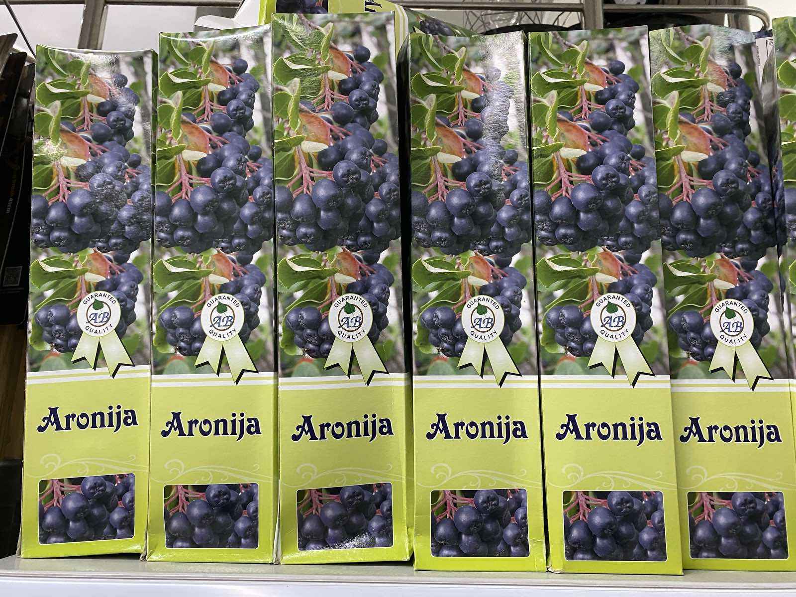 Image  of СЕМ САДНИЦА АРОНИЈА НЕРО