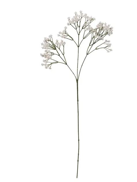 Image  of АТМОСФЕРА УКРАСНА ГРАНКА САДАРКА