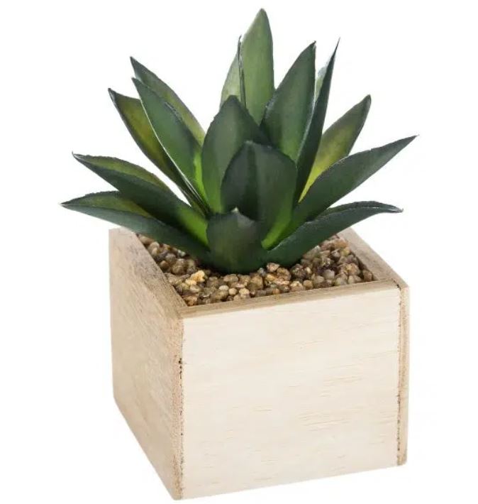 Image  of АТМОСФЕРА ВЕШТАЧКО ЦВЕЌЕ ВО САКСИЈА 14СМ