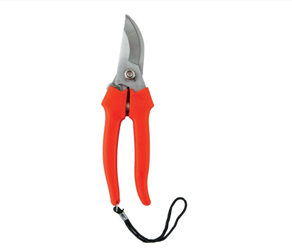 Image  of НОЖИЦА ЗА КРОЕЊЕ ЛОЈЗЕ 2884910