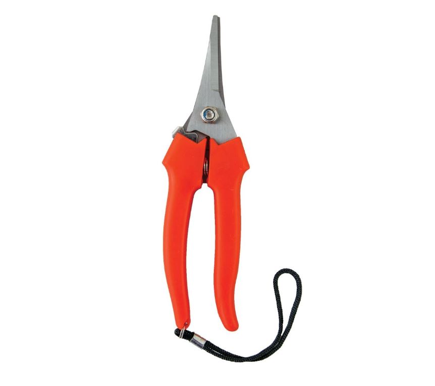 Image  of НОЖИЦА ЗА КРОЕЊЕ ЛОЈЗЕ 2884615