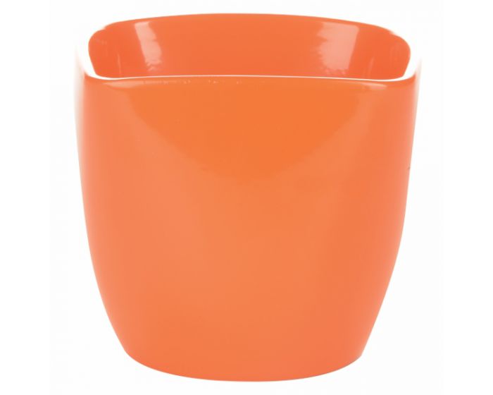 Image  of ИНТЕРТРЕНД САКСИЈА ОГЛАТИ 904/13 ПОРТОКАЛО