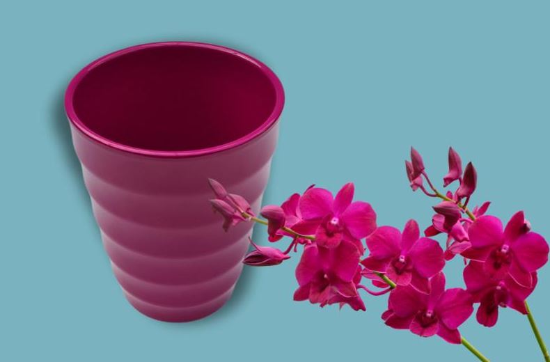 Image  of ИНТЕРТРЕНД САКСИЈА  907 ОРХИДЕЈА ЦИКЛАМА 14ЦМ