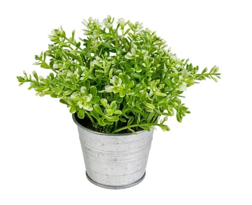 Image  of ВЕШТАЧКО ЦВЕЌЕ ФРЕШ 15Х13СМ