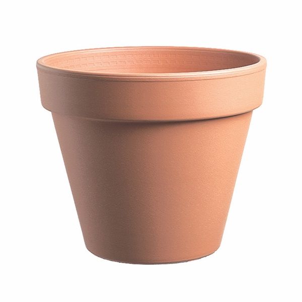 Image  of ЕУГАНЕА САКСИЈА ГЛИНЕНА СТАНДАРД 11СМ