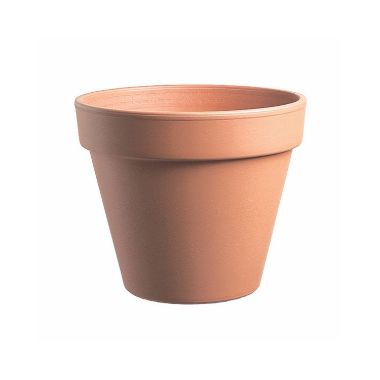 Image  of ЕУГАНЕА  САКСИЈА ГЛИНЕНА СТАНДАРД 19СМ