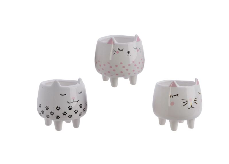 Image  of САКСИЈА МАЧЕ  8Х10Х9