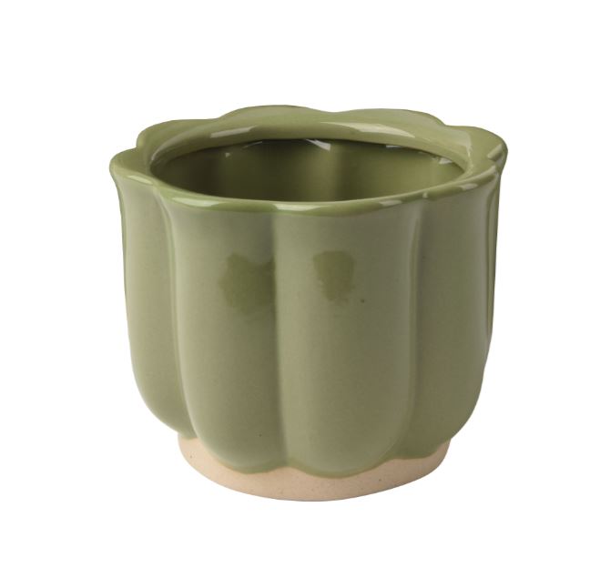 Image  of САКСИЈА 15Х12,5 СМ СЦЕТ  ЗЕЛЕНА