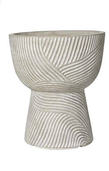 Image  of САКСИЈА КАНЕ 44.5смх38.5