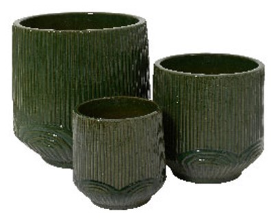 Image  of САКСИЈА ДИЕГО  24х25см МАЛА