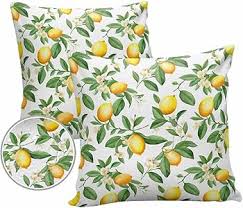 Image  of КОПМАН ПЕРНИЦА СО ЛИМОНИ 45Х45 СМ