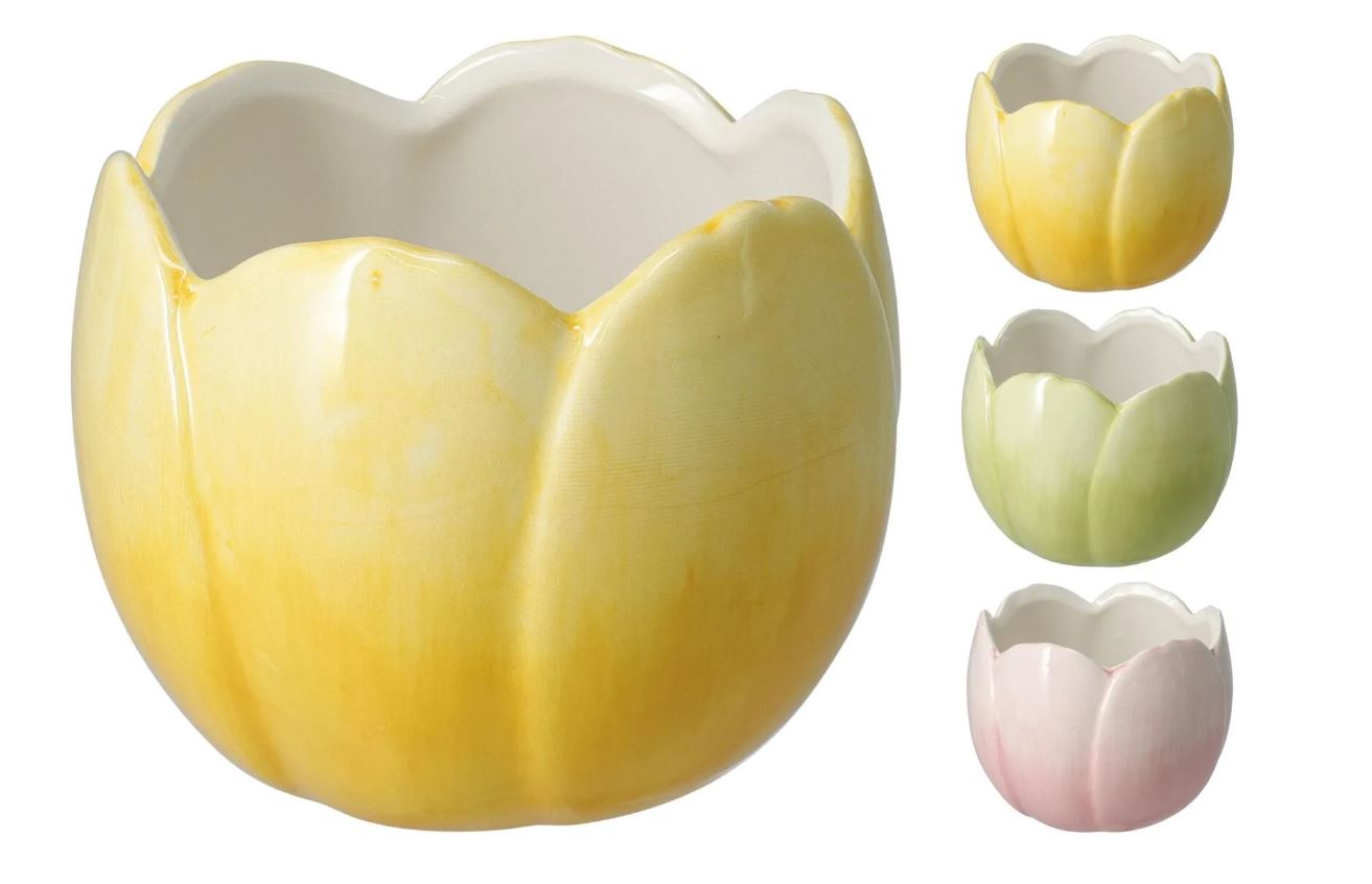 Image  of КОПМАН САКСИЈА ЛАЛЕ 3 БОИ