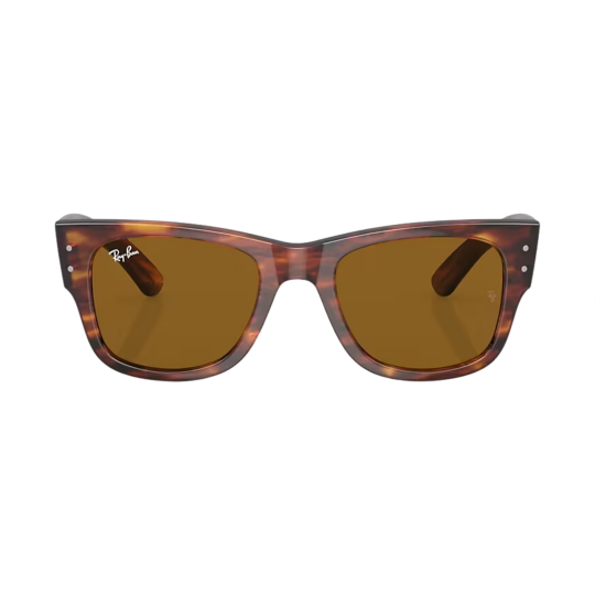 Image of Ray Ban 0840-S (954/33)