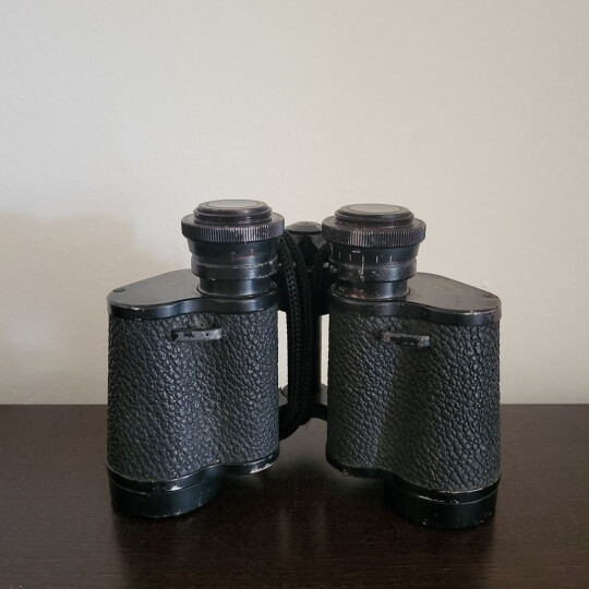 Image of Old vintage Swarovski Habicht 8x30 Binoculars