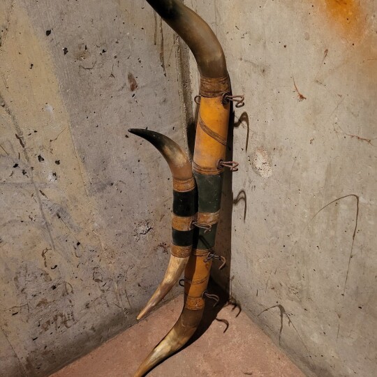 Image of Retro BULL HORN / RANCH HOUSE DECOR
