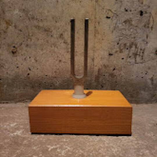 Image of Звучна резонанца, школска