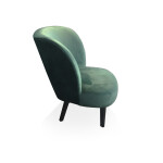 Product Image from the Gallery