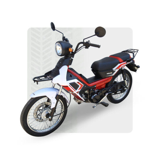 Image of CAMMELLO CLASSIC 50cc